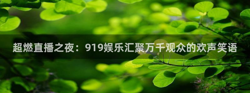 天狮娱乐：超燃直播之夜：919娱乐汇聚万千观众的欢声笑语