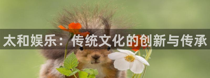 天狮娱乐：太和娱乐：传统文化的创新与传承