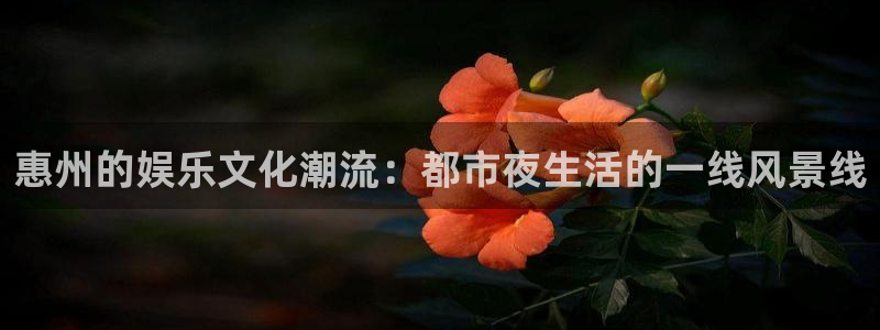 天狮娱乐：惠州的娱乐文化潮流：都市夜生活的一线风景线
