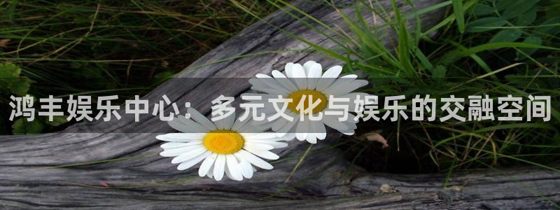 天狮娱乐：鸿丰娱乐中心：多元文化与娱乐的交融空间