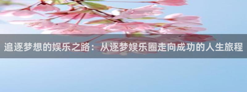 天狮娱乐：追逐梦想的娱乐之路：从逐梦娱乐圈走向成功的人生旅程