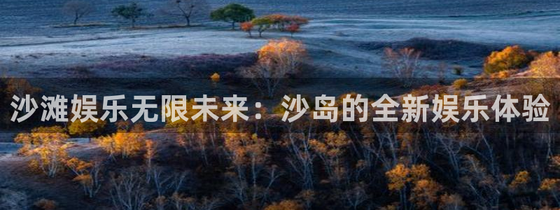 天狮娱乐：沙滩娱乐无限未来：沙岛的全新娱乐体验