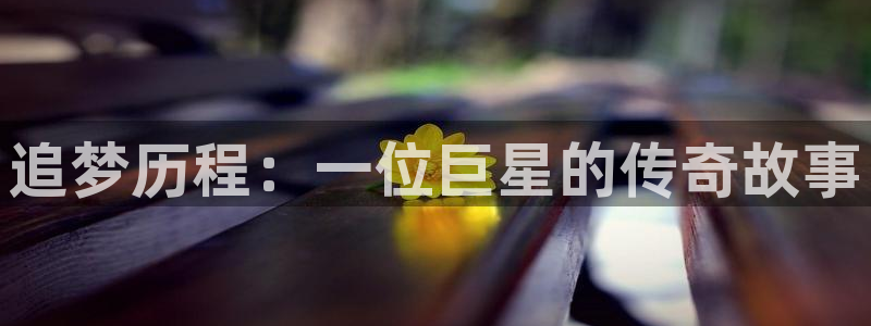 天狮娱乐：追梦历程：一位巨星的传奇故事