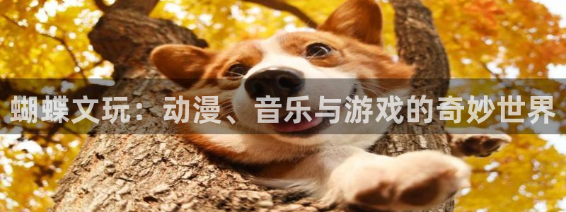 天狮娱乐：蝴蝶文玩：动漫、音乐与游戏的奇妙世界